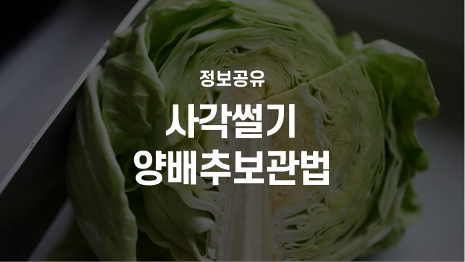 쿠팡 국내산 사각썰기 양배추 보관법: 자취생 냉장·냉동·변색 대처까지