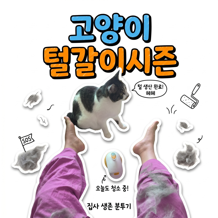  고양이 봄 털빠짐 왜 이렇게 심할까? 원인과 영양제 추천까지