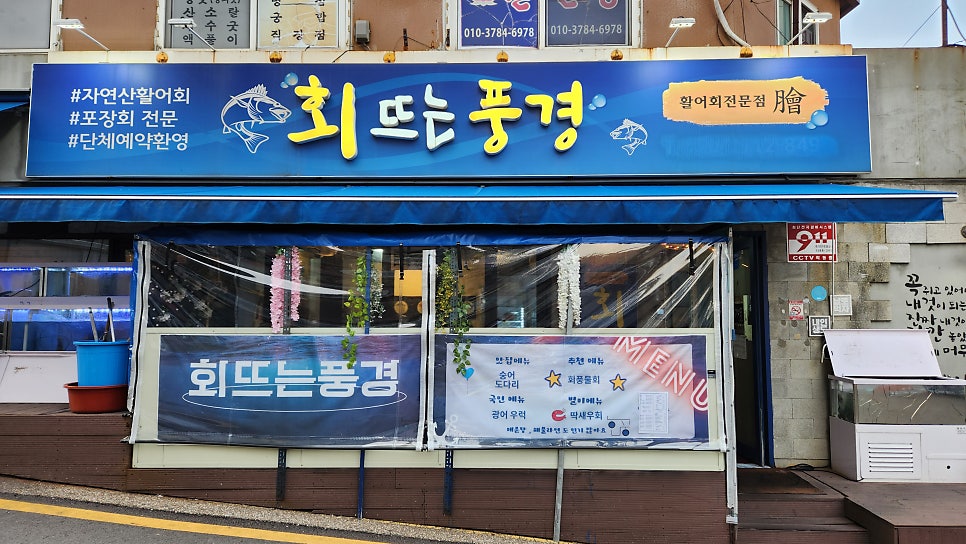 회뜨는풍경 사진 2
