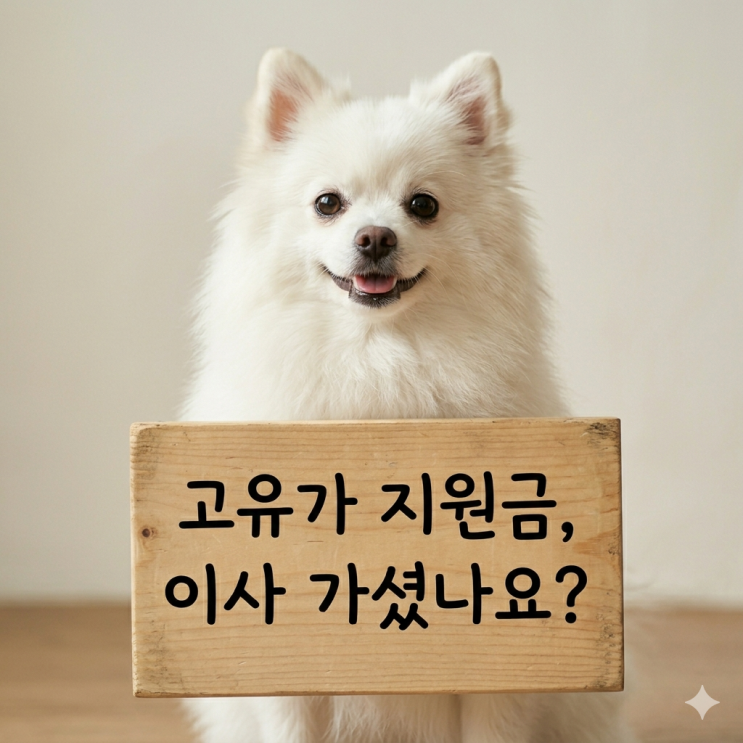  정부 고유가 피해지원금 이사 후 처리 방법? 2025년 실제 경험담(신용카드 사용처 변경, 이의신청, 선불카드, 온누리 사용)