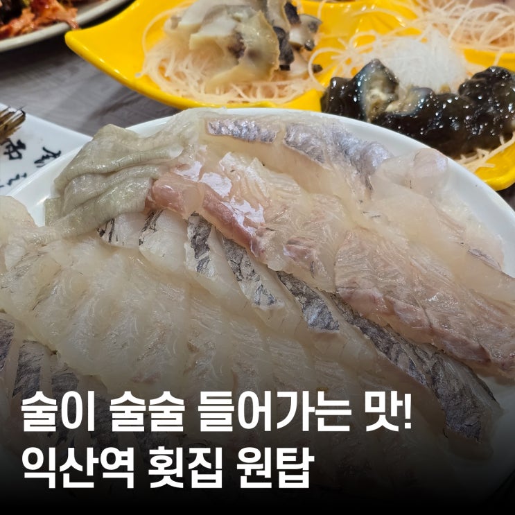  익산 횟집 추천 ｜ 서해명가 회정식 2인 내돈내산 ｜ 모현동 맛집 투어 필수 코스