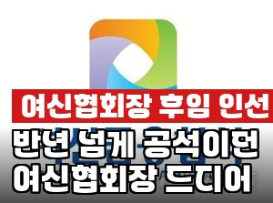 <b>여신협회장</b> 6개월째 공석…카드·캐피탈 업계, 이달 말 드디어... 