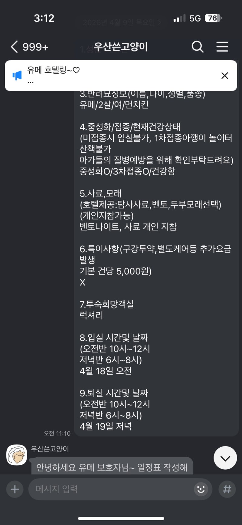 우산쓴고양이