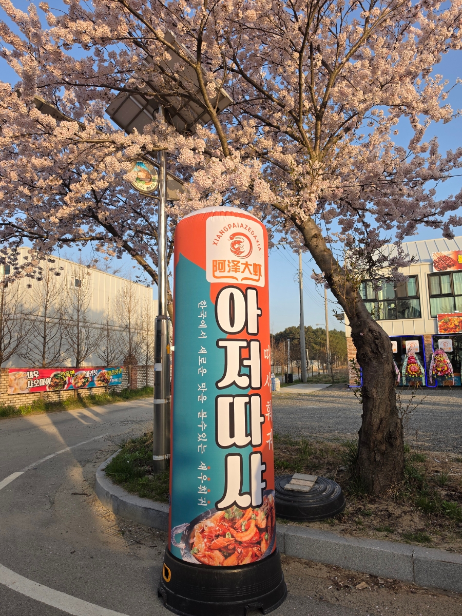 북경 사진 2