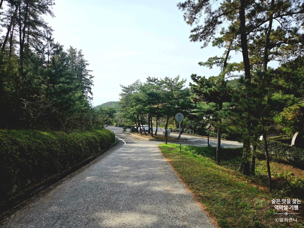 운주산 승마자연휴양림 야영장 사진 7