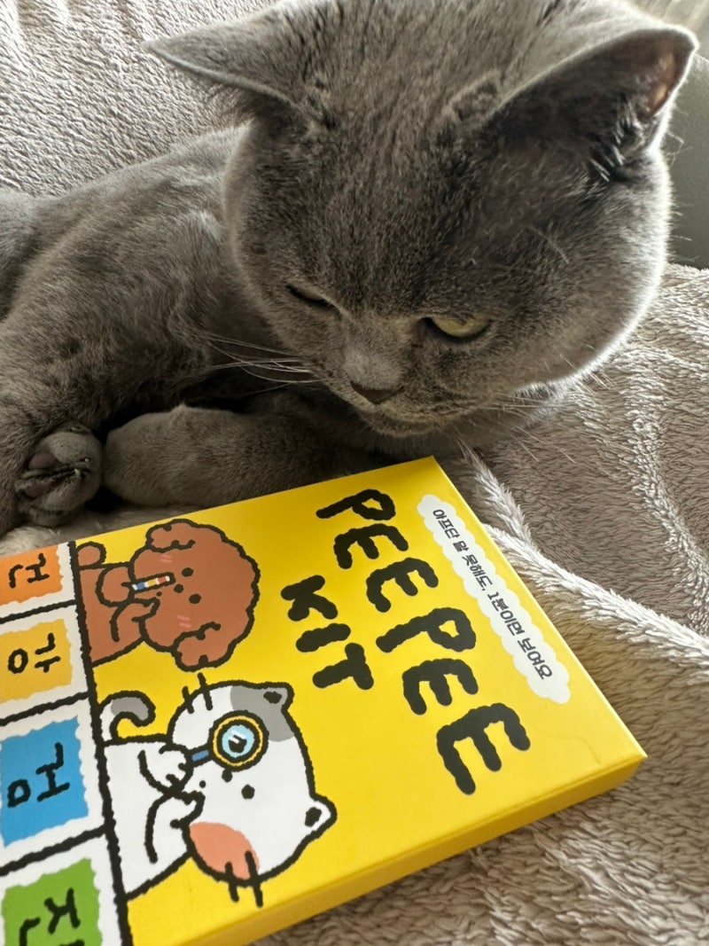 고양이 소변검사, 며칠을 벼르다 드디어 해본 피피키트 후기. 레오의 고양이 신장검사와 고....