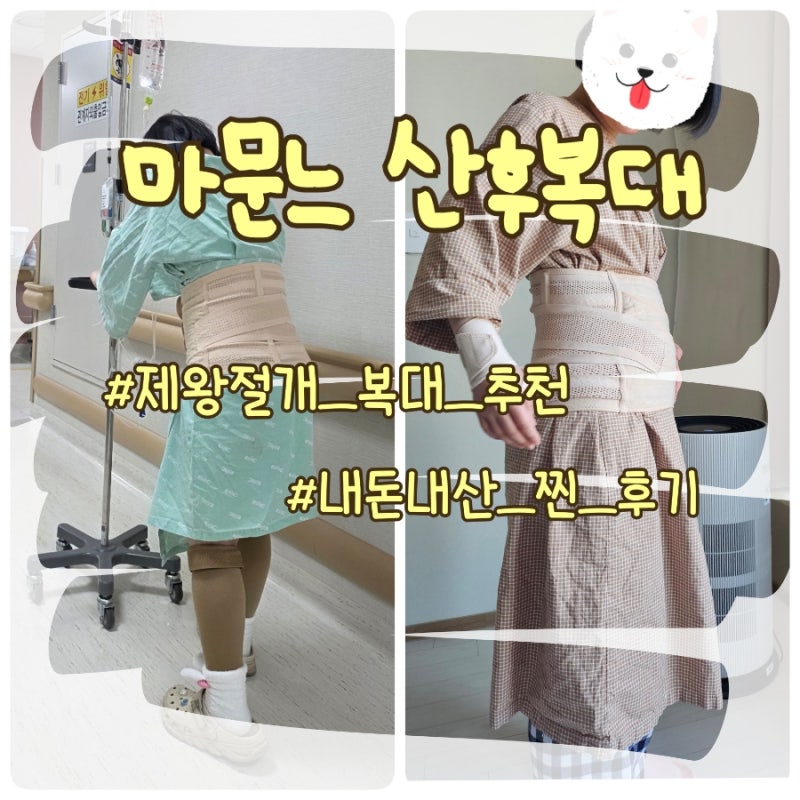마문느 산후복대 추천 후기 | 흉곽부터 허리까지 잡아주는 제왕절개 산후 필수템 내돈내산 ....