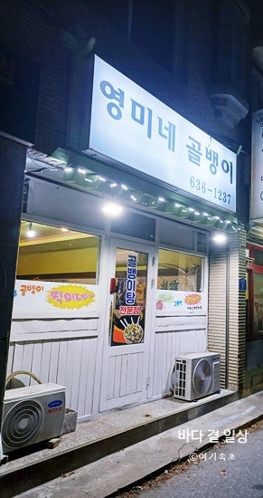 영미네골뱅이 사진 5
