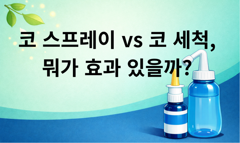 비강 스프레이 종류와 차이, 약사가 알려드리는 비염 스프레이 고르는 법