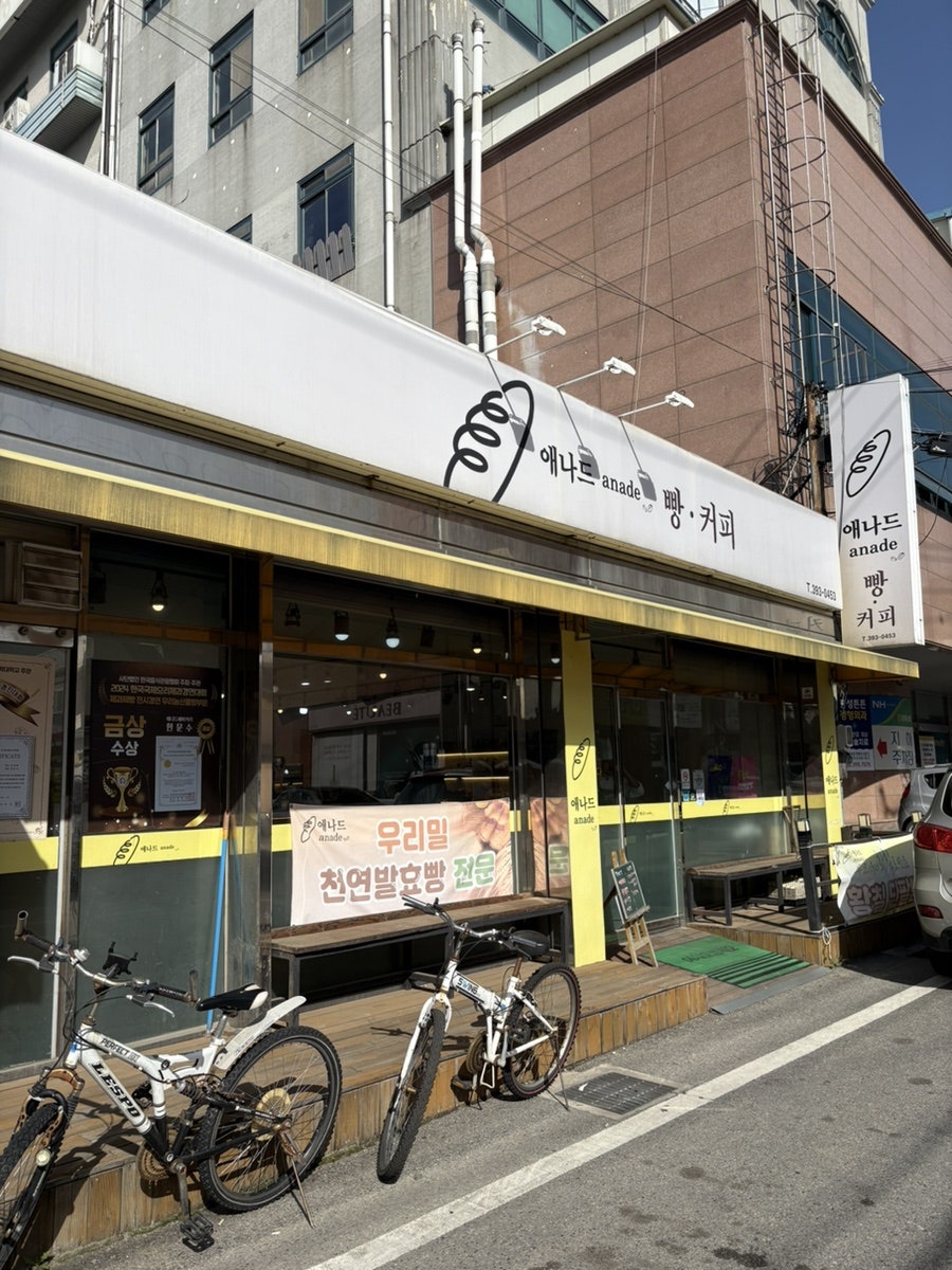 애나드 사진 2