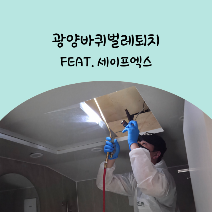  광양바퀴벌레퇴치 해충방역 전문업체 세이프엑스 본사에서
