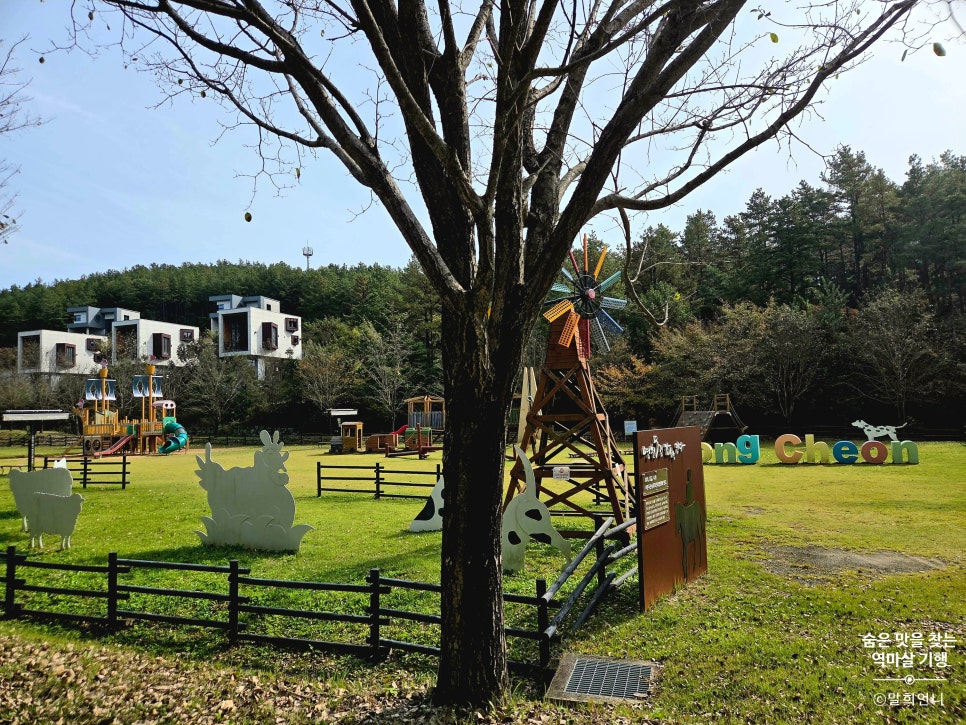 운주산 승마자연휴양림 야영장 사진 5
