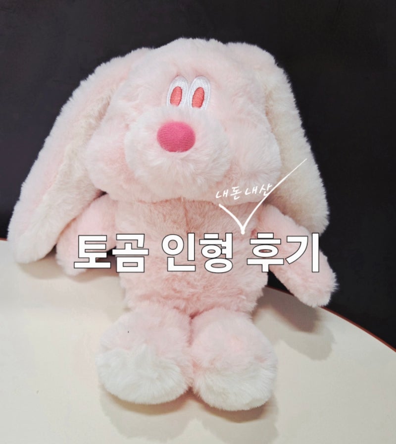 마이크로 킥보드 토곰 스쿠터 인형 후기 (아프리콧스튜디오 콜라보, 내돈내산)