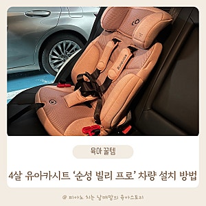 4살 휴대용카시트 차량에 순성 빌리 프로 설치 방법 37개월 아이 착용기