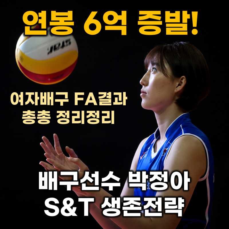 [여자배구] 박정아 연봉 6억 삭감 2026 여자배구 FA결과 총정리, 김다인 정호영 연봉 상한제 (FA....