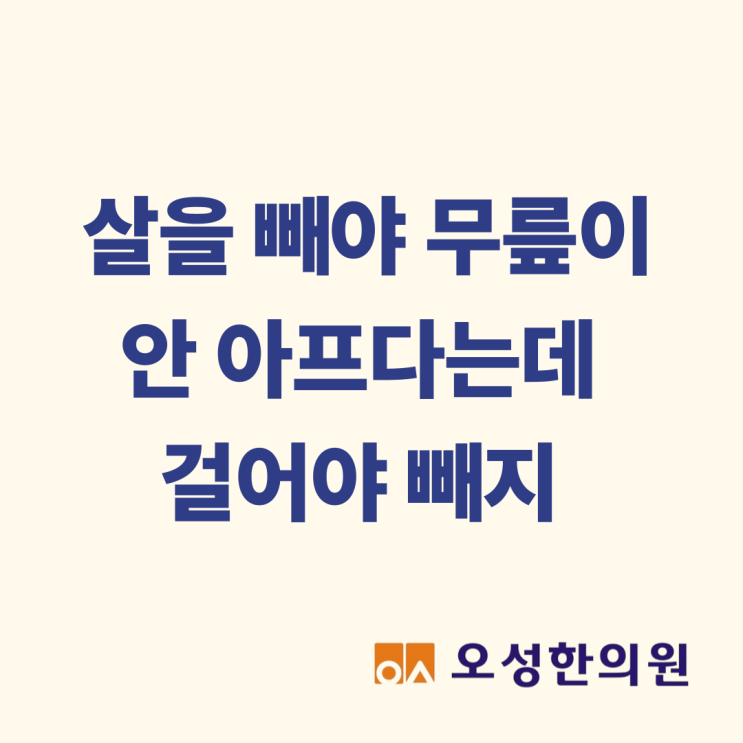  살을 빼야 무릎이 안 아프다는데, 파주 무릎통증 치료부터