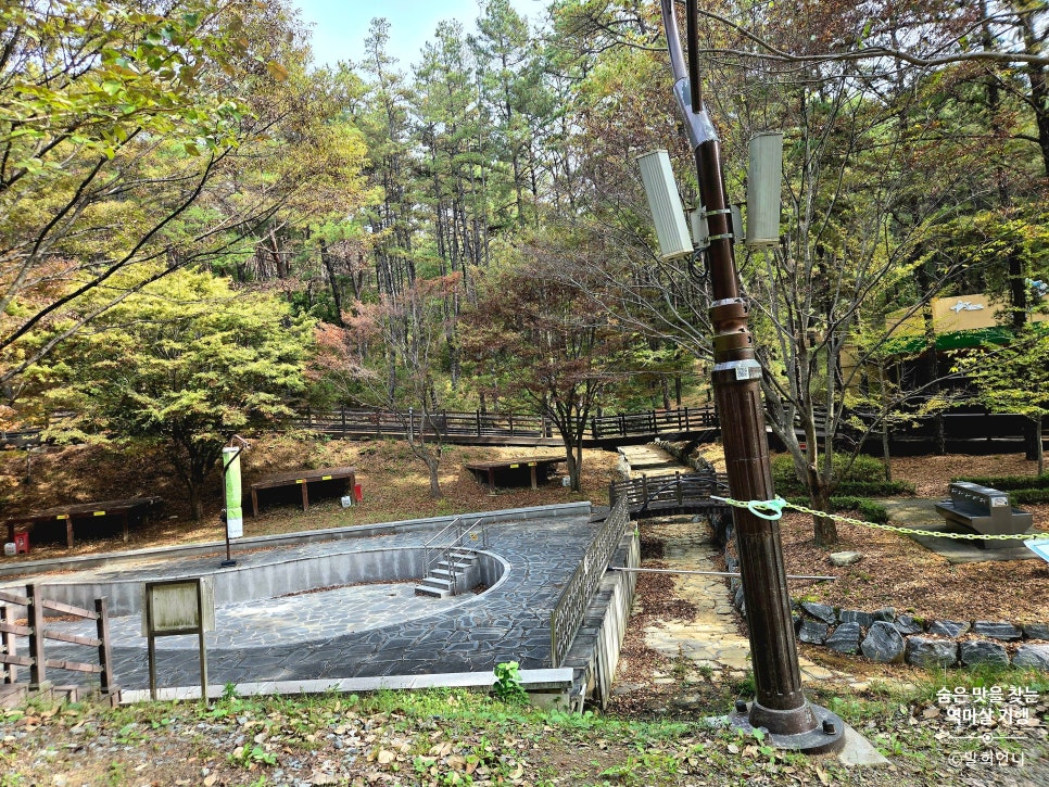 운주산 승마자연휴양림 야영장 사진 6