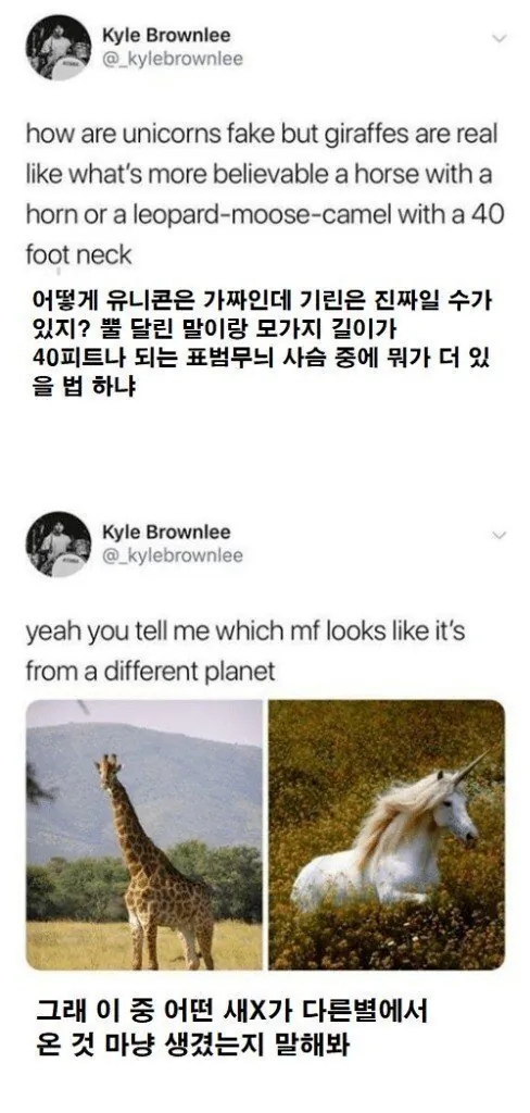  기린은 있는데 왜 유니콘은 없을까.jpg