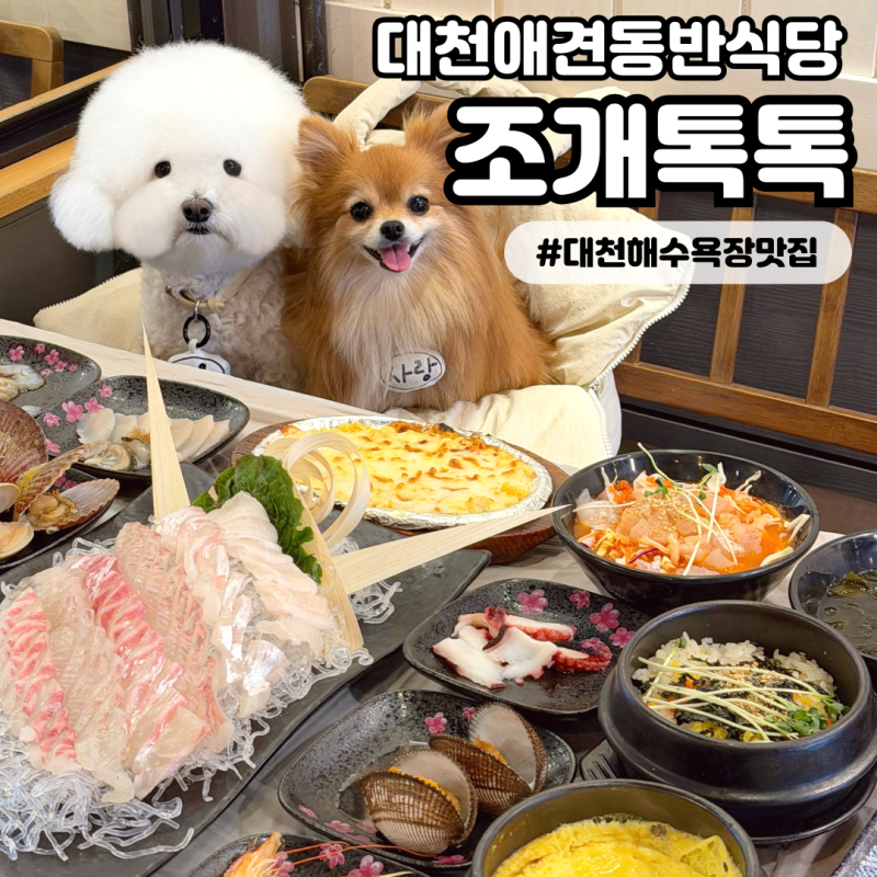 [조개톡톡] 대천애견동반식당 신선하고 푸짐한 회를 먹을 수 있는 대천해수욕장 맛집