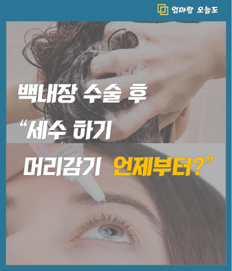 백내장 수술 후 회복기간 총정리 (세수·머리감기 언제부터? 서울대병원 실제 후기)”