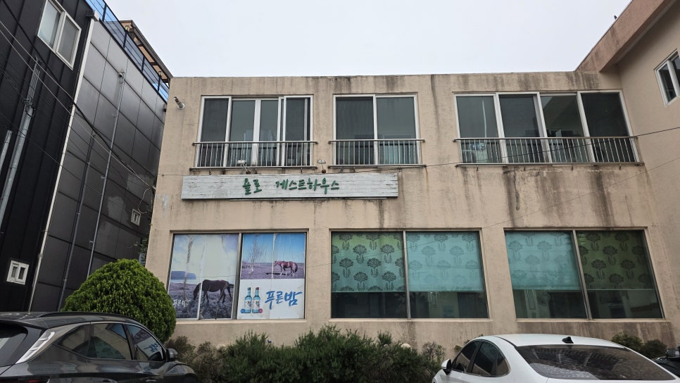 욜로 제주 게스트하우스 사진 4