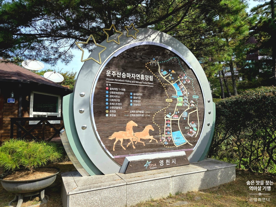 운주산 승마자연휴양림 야영장 사진 2