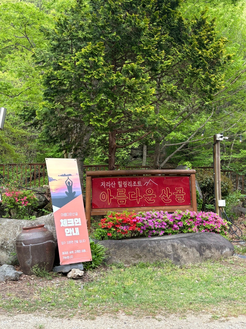 사진 5