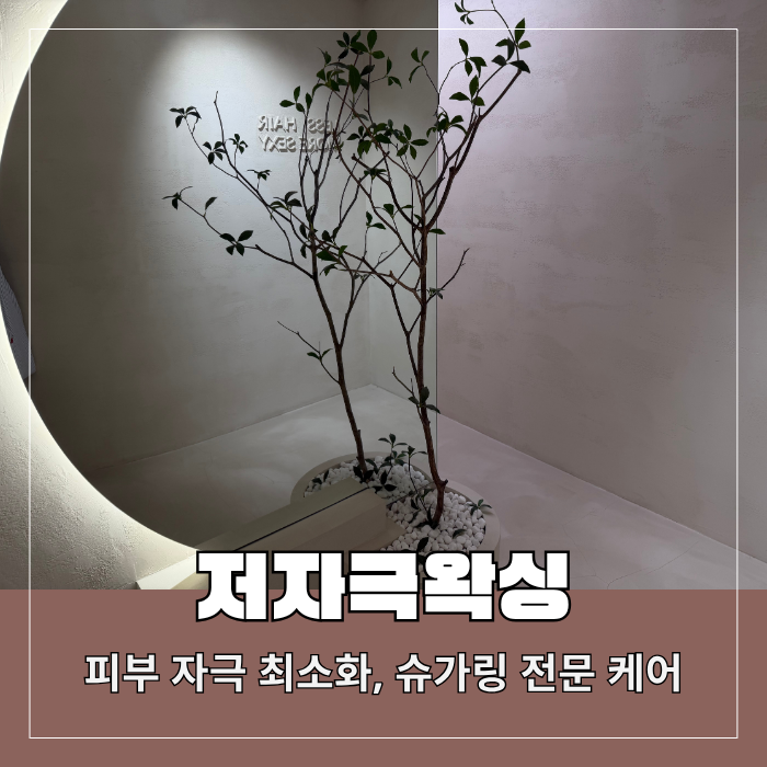  왁싱잘하는 곳 찾는다면 슈가링나나왁싱