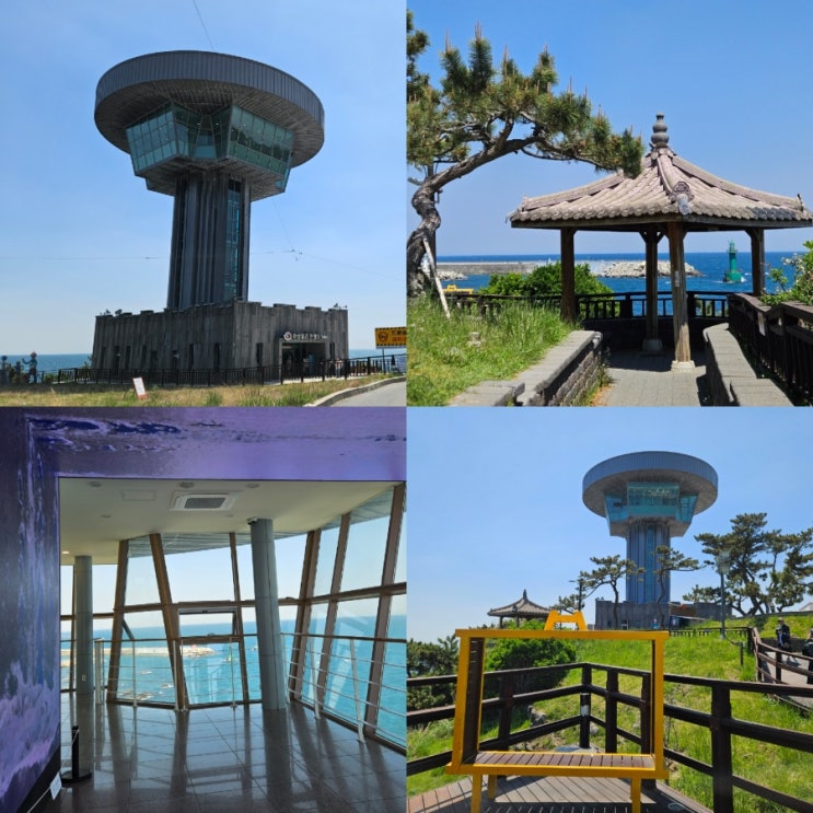  경주 감포 가볼만한곳 양남 주상절리 전망대 주차 꿀팁 해파랑길 파도소리길 산책