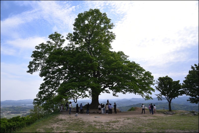 네이버 인플루언서