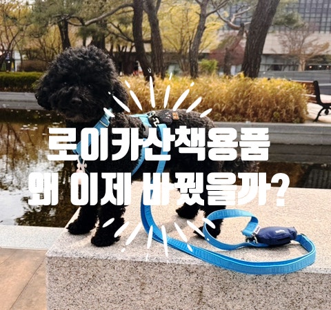  강아지산책용품추천 로이카 강아지하네스 리드줄 풉백세트 왜 이제서야 바꿨을까?