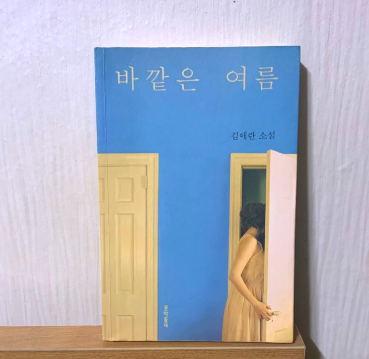  바깥은 여름. 줄거리와 입동 김애란 작가의 최고의 단편 소설집 추천 리뷰 후기