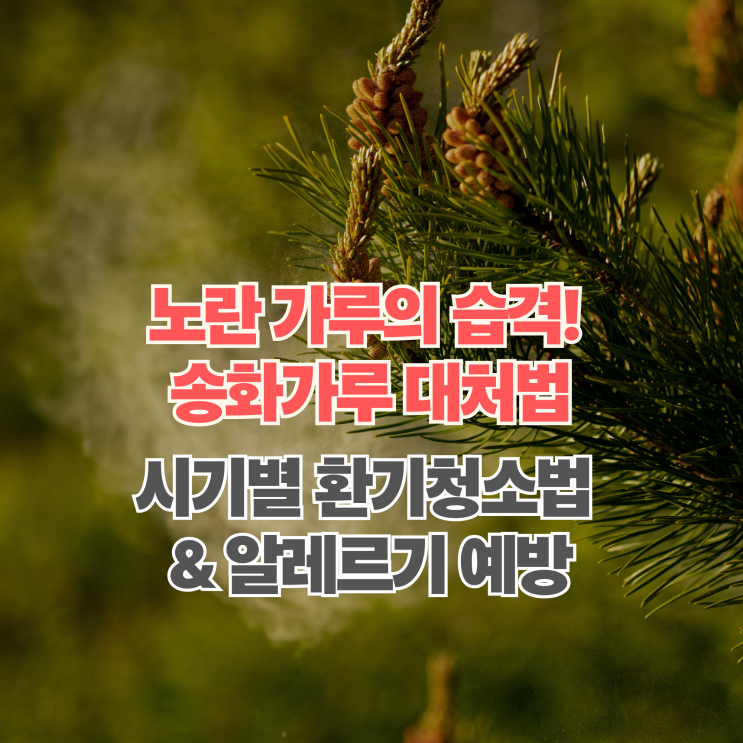  송화가루 시기 대처법! 알레르기 증상부터 효과적인 청소 꿀팁 정리