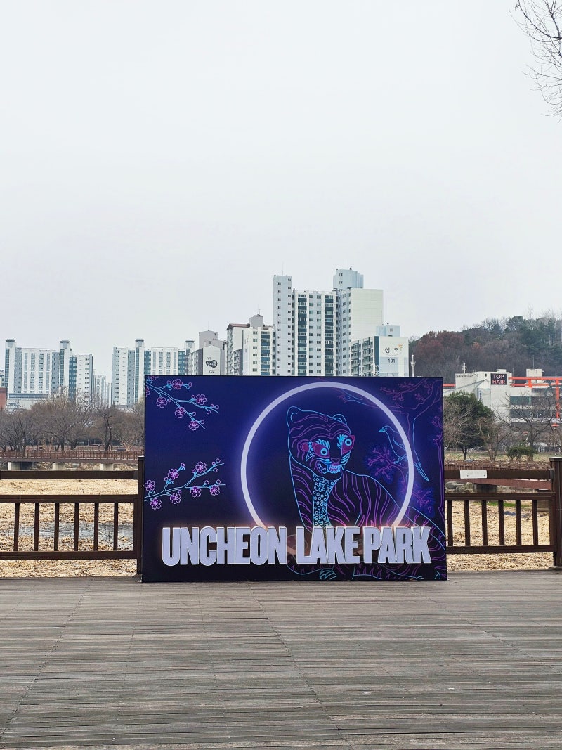 사진 6