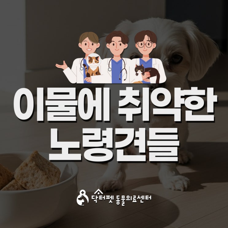  밥 안 먹고 침 흘리는 노령견 단순 노화가 아닌 식도 이물 신호일 수 있습니다