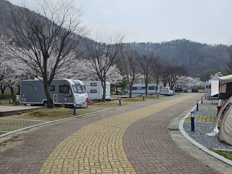 청양 칠갑산 오토캠핑장 사계절 캠핑 명소