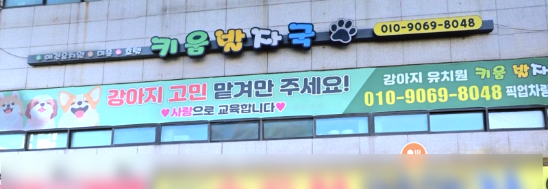 키움발자국 애견유치원&애견호텔