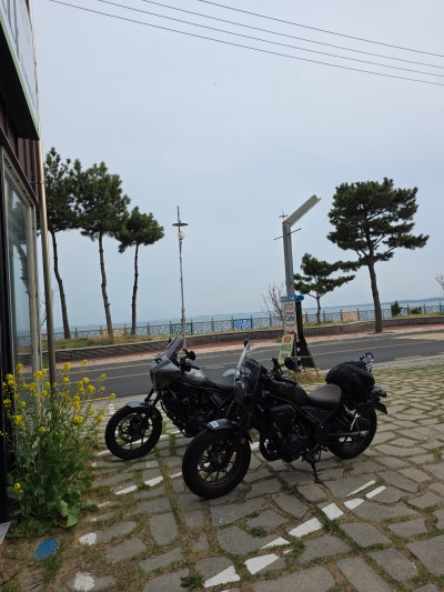 사진 6