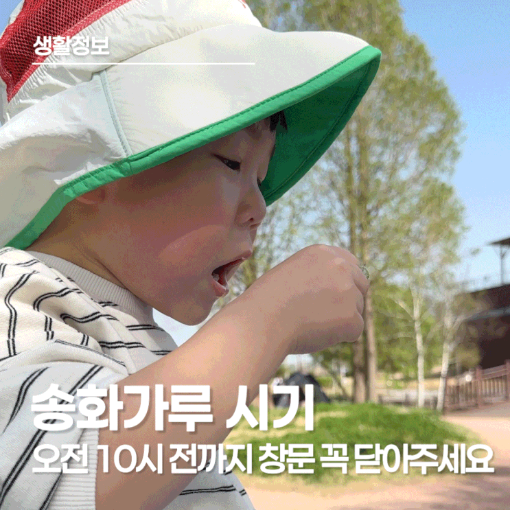  송화가루 시기 시작! 등원길 주의 시간과 아이 방 환기 및 유모차 청소 팁