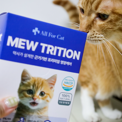  고양이 신장영양제 올포캣 신부전 종합영양제 후기