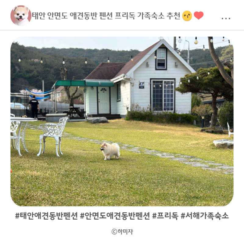 사진 7