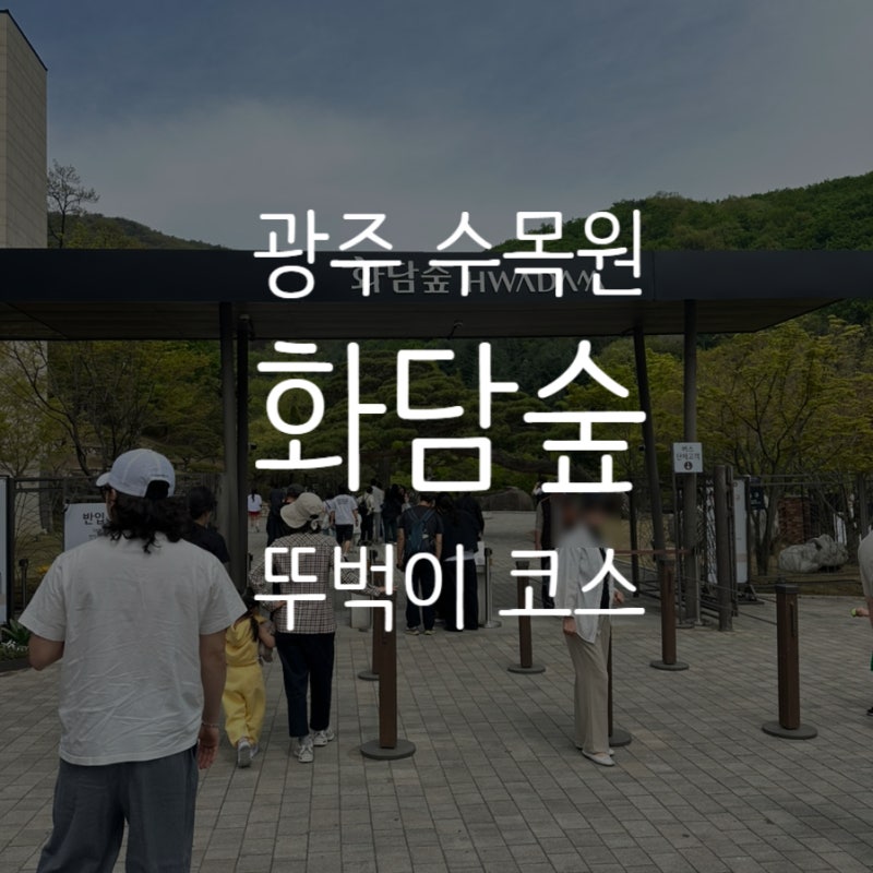 [경기/광주] 화담숲 뚜벅이 코스! 광주9 버스 배차간격 | 화담숲 리프트 타는 방법