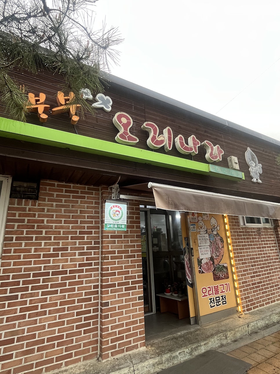 붕붕오리나라 사진 3