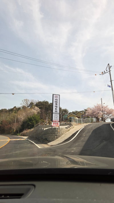 사진 5