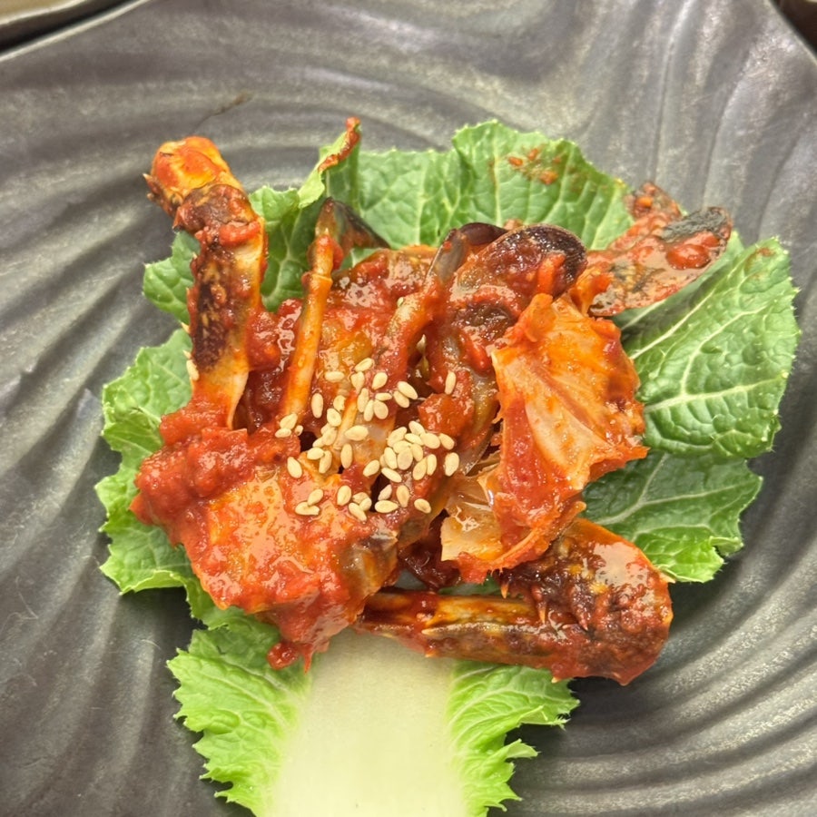 돈돼지 사진 4
