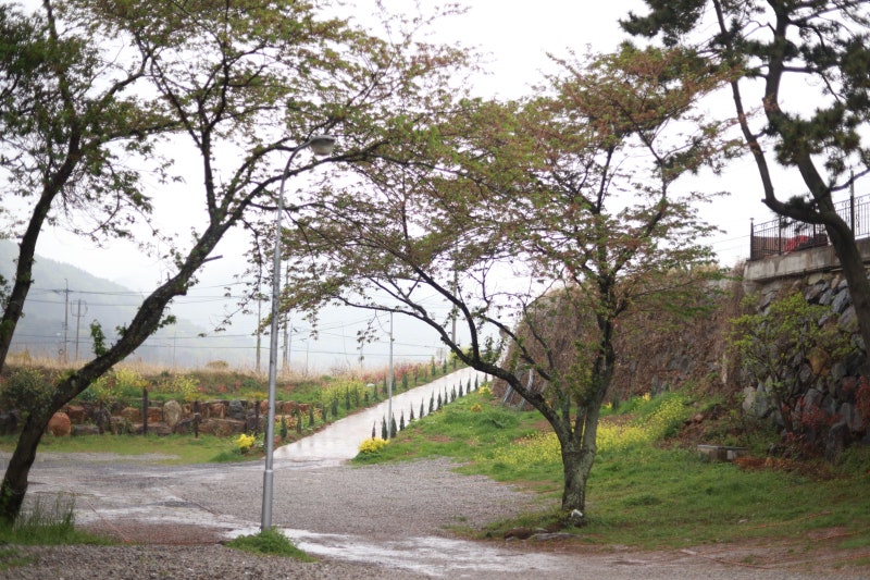 사진 2