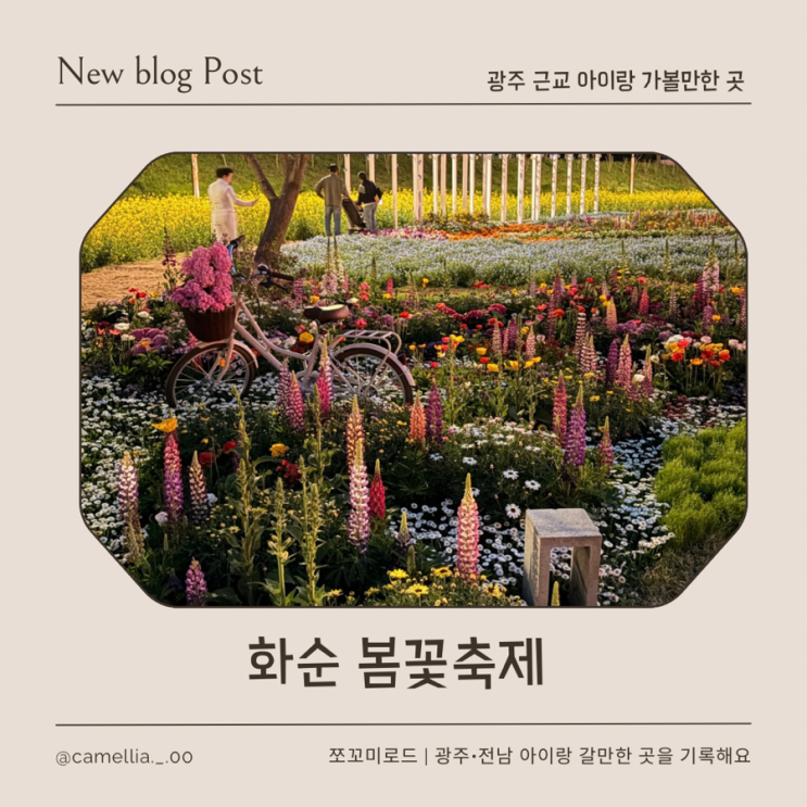  2026년 화순 봄꽃축제 아이랑 다녀온 솔직후기 (주차/동선 꿀팁)