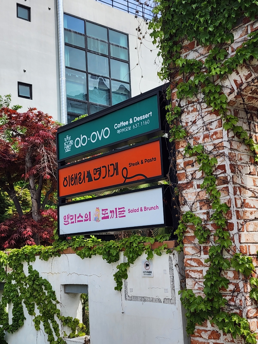 에이비오보 사진 2