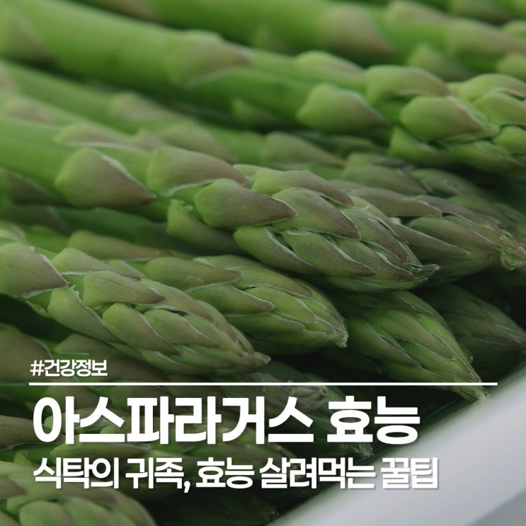 아스파라거스 효능 살리는 요리, 영양성분 챙기는 손질 및 보관법