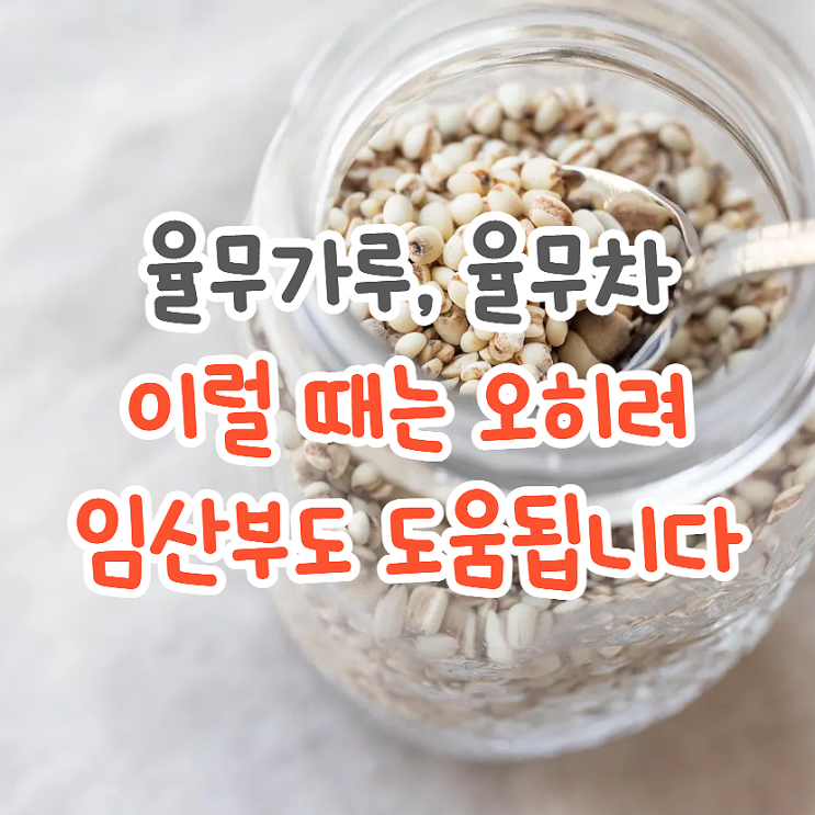  볶은 율무가루 율무차 효능, 임산부와 관련된 오해